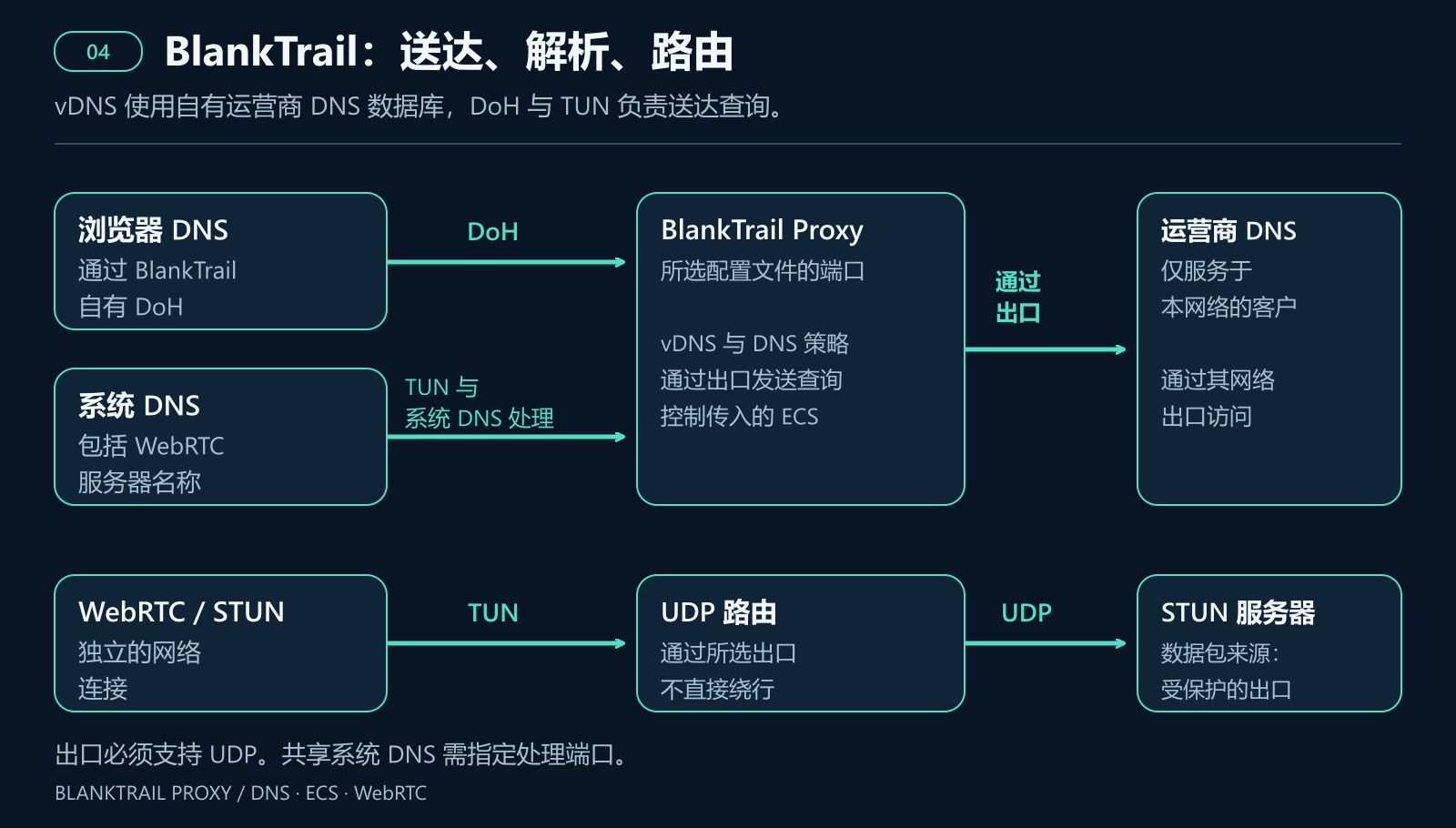 浏览器 DNS 通过 DoH 进入 BlankTrail，系统 DNS 通过 TUN 进入。vDNS 使用自有的运营商 DNS 数据库，其中的服务器仅为各自网络客户服务，并通过相应出口访问。WebRTC UDP 通过 TUN 和支持 UDP 的出口发送。