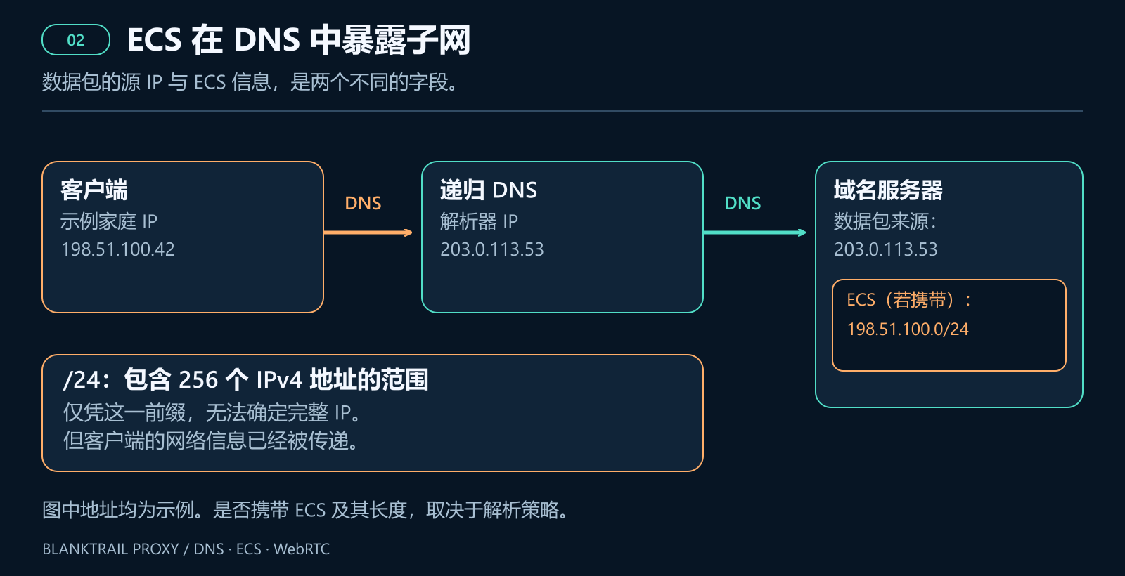 示例 IP 为 198.51.100.42 的客户端访问递归 DNS。权威服务器看到解析器 IP 203.0.113.53，以及 ECS 198.51.100.0/24（若携带）。