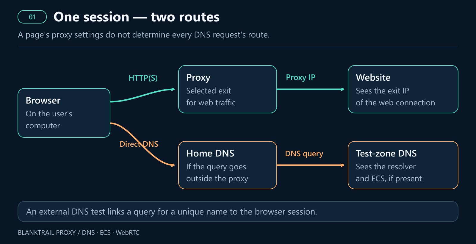 The page loads through a proxy, while DNS may use the home resolver. The test zone's DNS server sees the resolver and possible ECS.