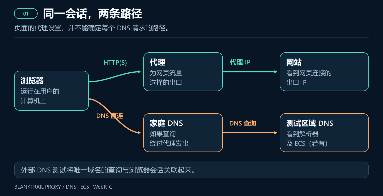 页面通过代理加载，但 DNS 可能使用家庭解析器。测试区域的 DNS 服务器会看到解析器及可能携带的 ECS。