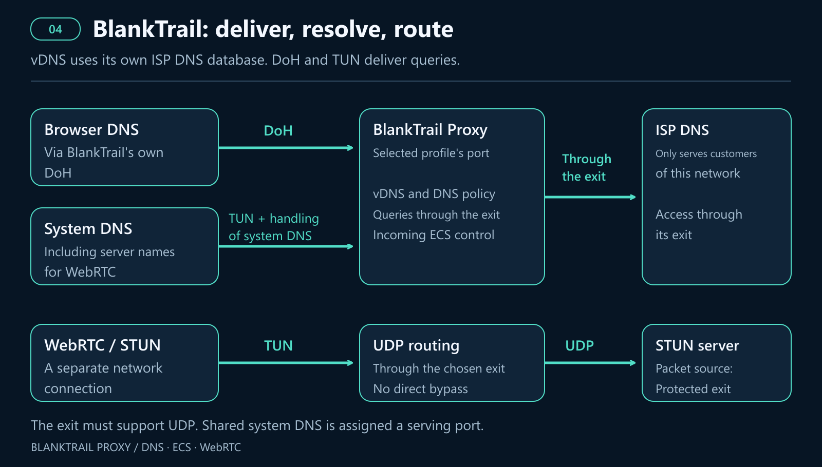 Browser DNS reaches BlankTrail through DoH, and system DNS through TUN. vDNS uses its own database of ISP DNS servers that serve only their network's customers, accessed through the corresponding exit. WebRTC UDP is routed through TUN and an exit supporting UDP.