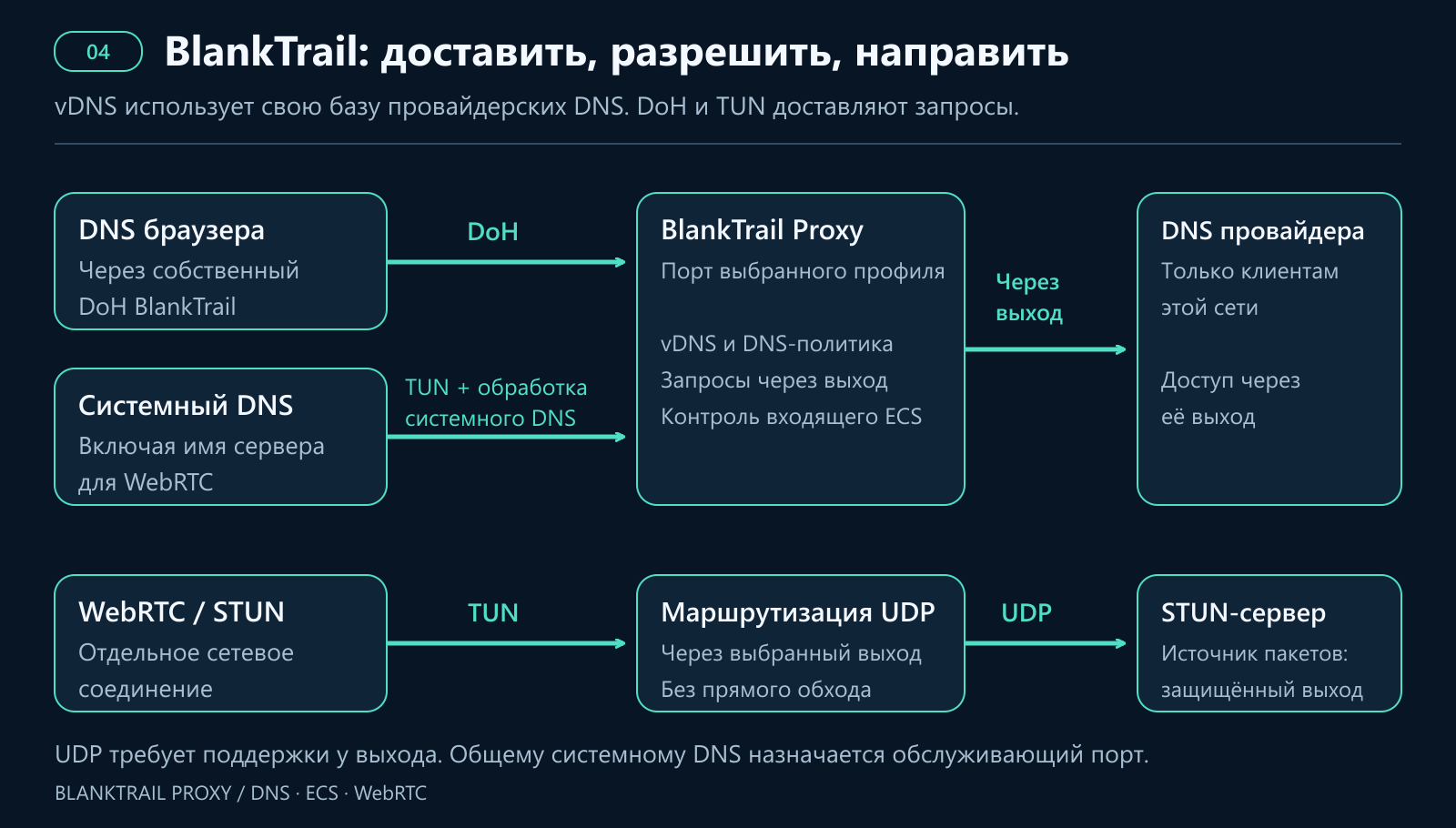 DNS браузера поступает в BlankTrail через DoH, системный DNS — через TUN. vDNS использует собственную базу DNS провайдеров, обслуживающих только клиентов своих сетей; доступ к ним идёт через соответствующий выход. WebRTC UDP направляется через TUN и выход с поддержкой UDP.