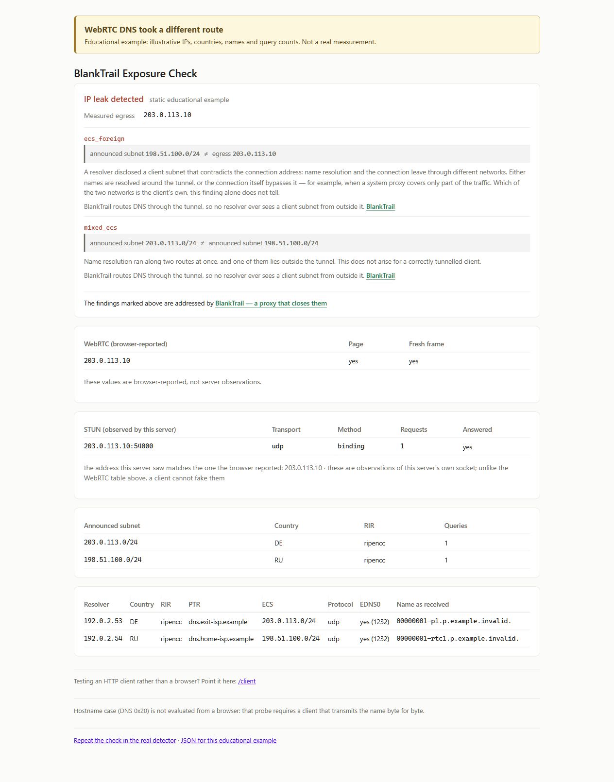 Educational audit report: the ordinary DNS probe uses the exit subnet, rtc1 uses the home subnet, and WebRTC and STUN show the exit. Warnings: ecs_foreign and mixed_ecs.