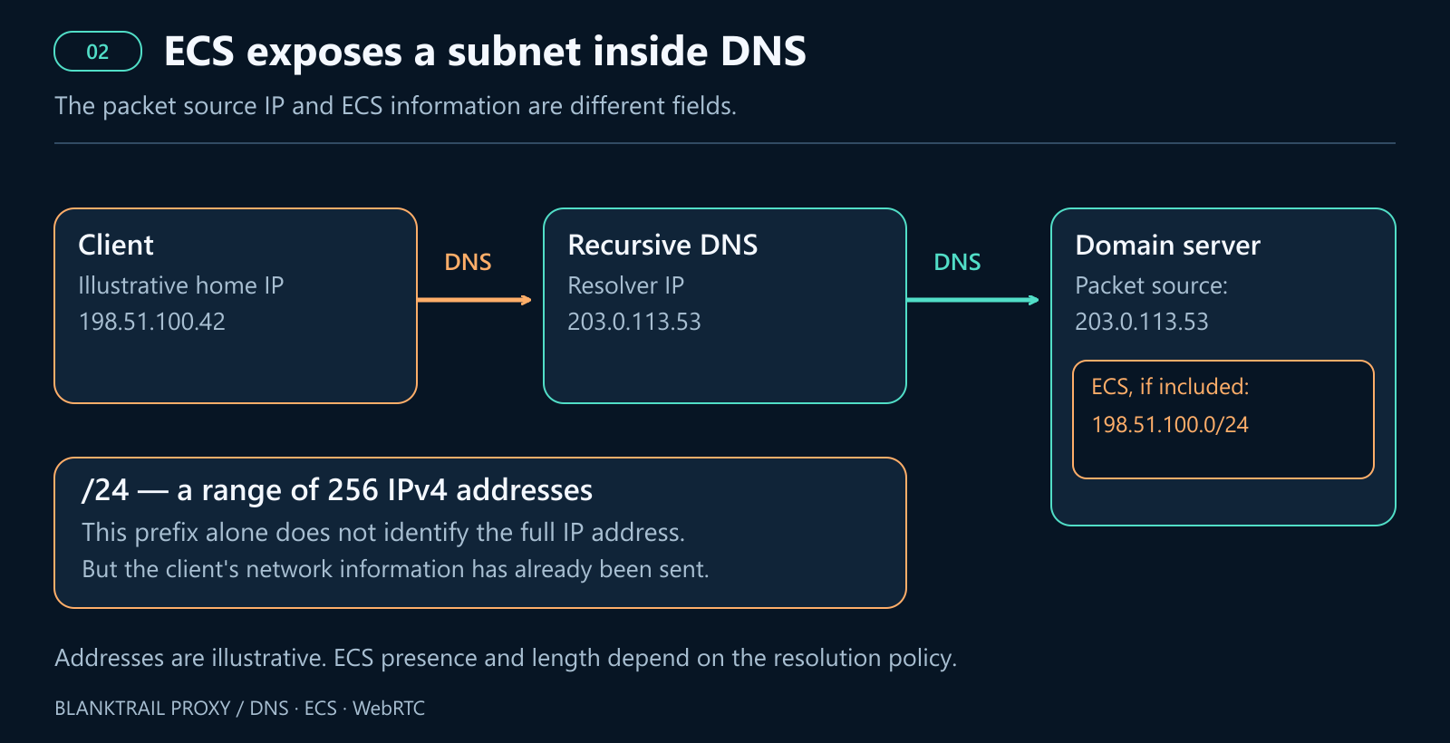 A client with the illustrative IP 198.51.100.42 queries recursive DNS. The authoritative server sees resolver IP 203.0.113.53 and ECS 198.51.100.0/24, if included.