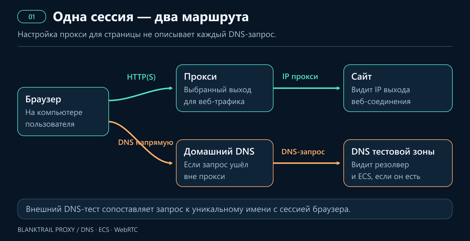 Страница загружается через прокси, а DNS может обращаться через домашний резолвер. Сервер тестовой DNS-зоны видит резолвер и возможный ECS.