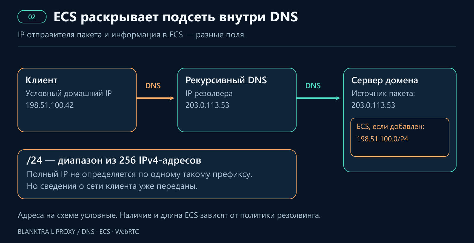 Клиент с условным IP 198.51.100.42 обращается к рекурсивному DNS. Авторитетный сервер видит IP резолвера 203.0.113.53 и ECS 198.51.100.0/24, если он добавлен.