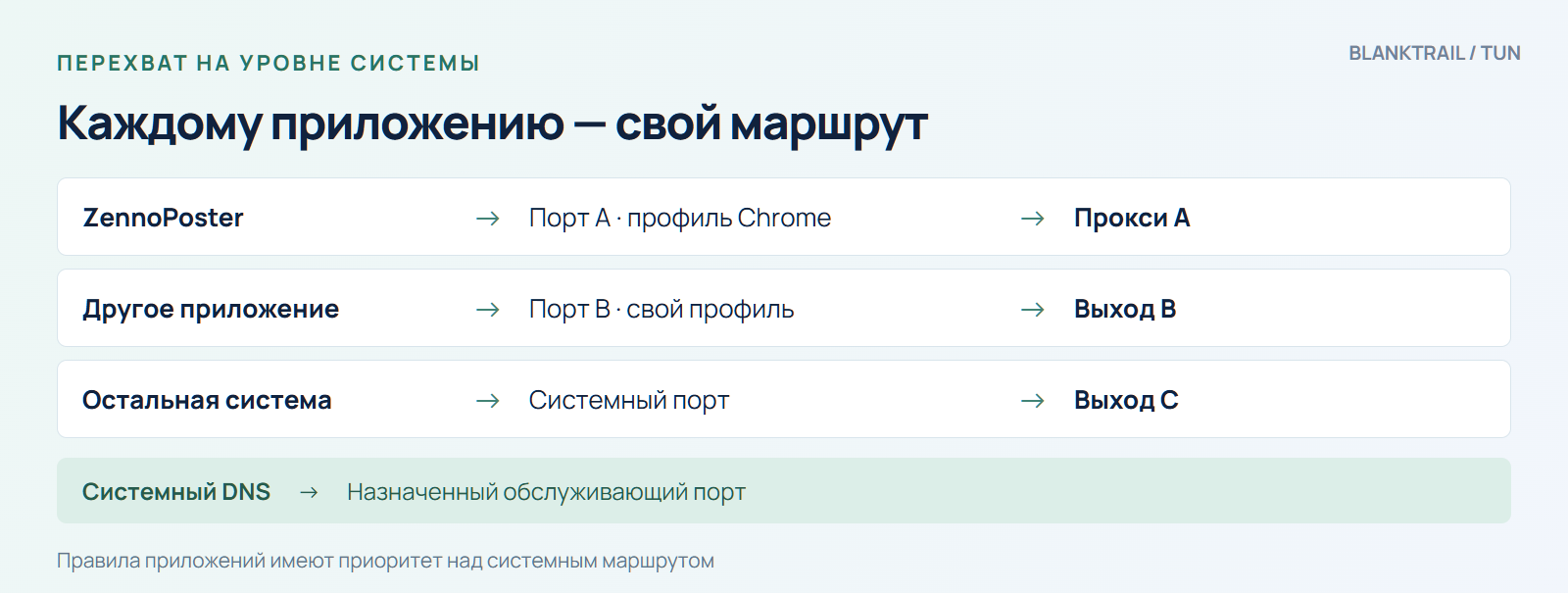 TUN: отдельные приложения используют разные порты и выходы; системный DNS направляется в назначенный порт.