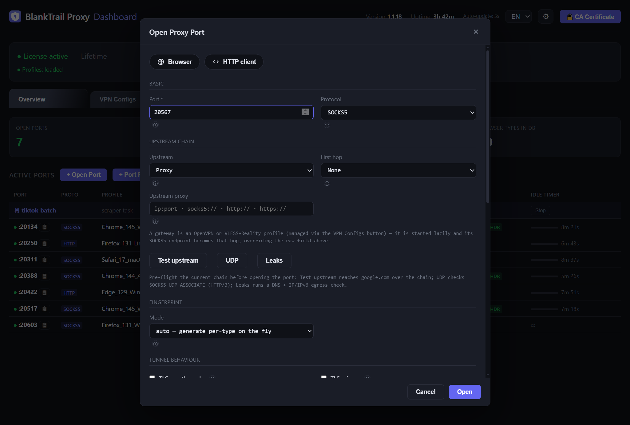 Open Port dialog with the Browser quick-start preset selected