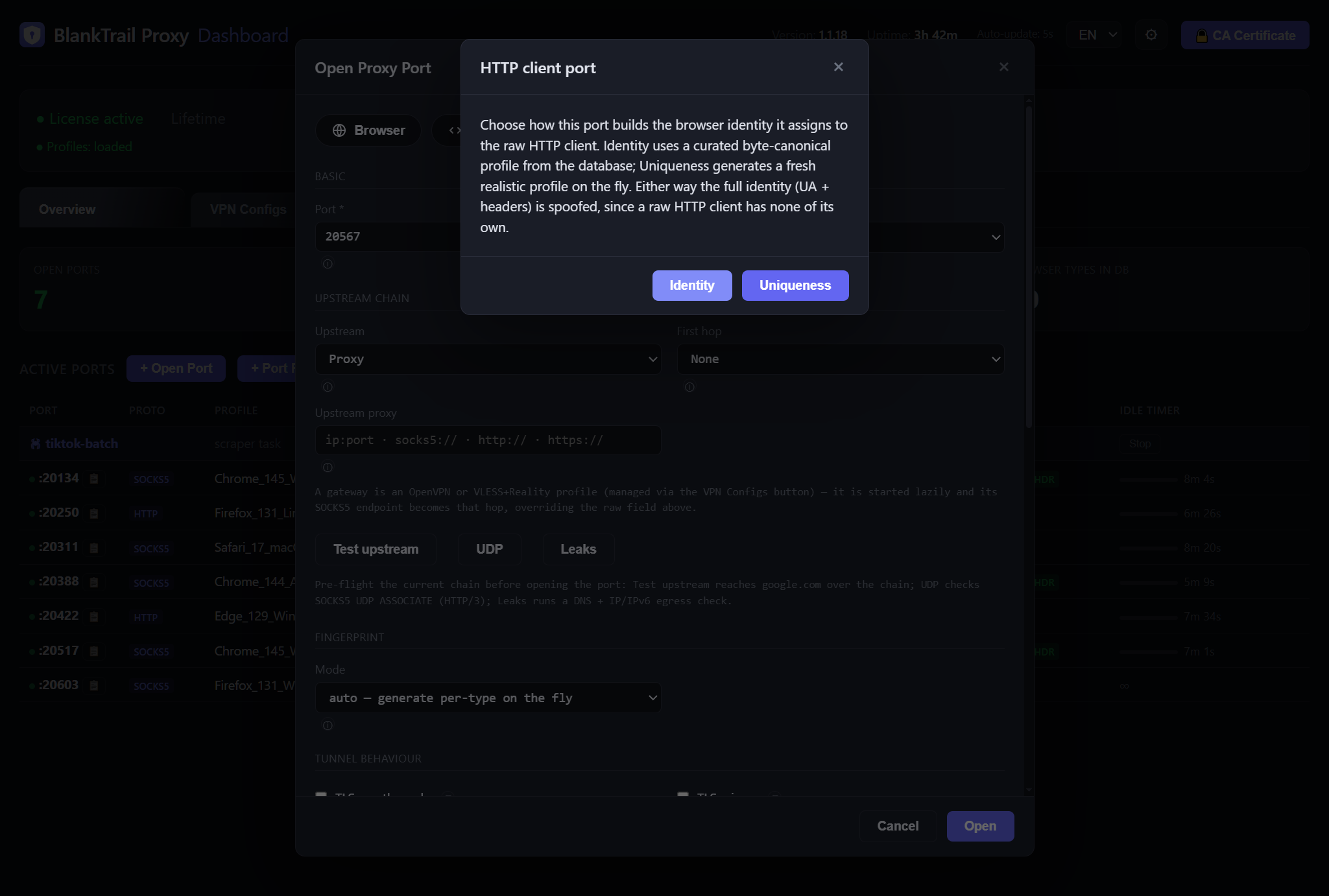 Open Port dialog with the HTTP client preset and identity options