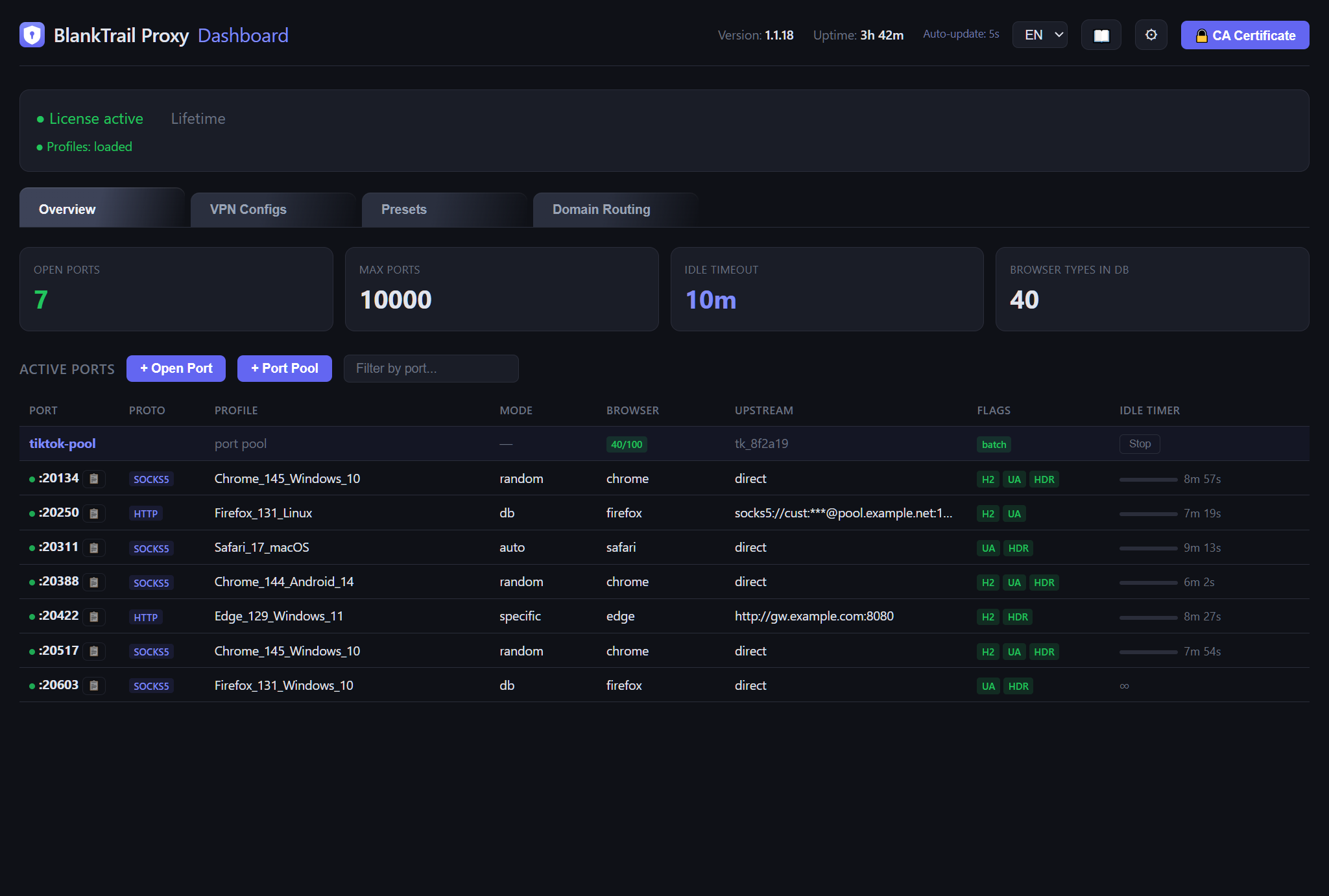 Overview tab showing stat cards and a table of open proxy ports